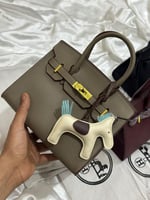 شنطة ارميز بيركن