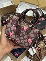 شنطة كوتش روان