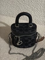 شنطة كوتش دلو ميني