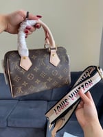 شنطة لويس فيتون سبيدي