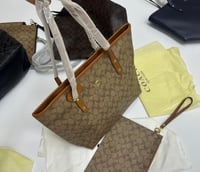 كوتش توت باق