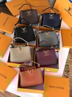 شنطة لويس فيتون كابوسين