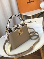 شنطة لويس فيتون كابوسين