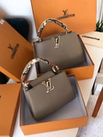 شنطة لويس فيتون كابوسين