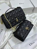 شنطة ديور مطفي