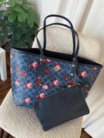 شنطة كوتش توت باق