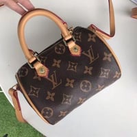 لويس فيتون سبيدي