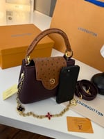 شنطة لويس فيتون كابوسين