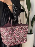 شنطة كوتش توت باق