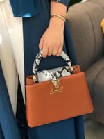 شنطة لويس فيتون كابوسين