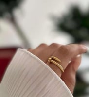 خاتم كارتير مع الملحقات