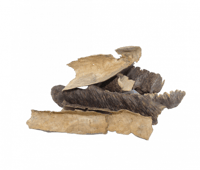 عود هندي قواقع طبيعي