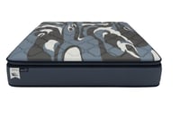 مرتبة كوايت بلس