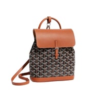 شنطة ظهر قويارد ميني