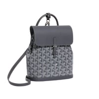 شنطة ظهر قويارد ميني | Goyard mini backpack