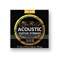 اوتار جيتار اكوستك