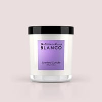بلانكو باكج بينك بوني - Pink Poeny Package Blanco
