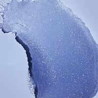 مقشر جسم سكر الشيا اكزوتيك بلوم تري هت 532 مل - Ex...