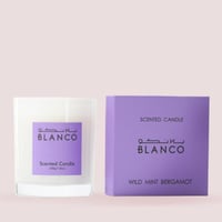 شمعة وايلد مينت بلانكو - Blanco Wild Mint Candle