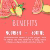 مصل كانتو المغذي لعلاج فروة الرأس بزيت الجوافة وال...