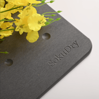 الدعاسة الأحفورية - قطرات (غامق)