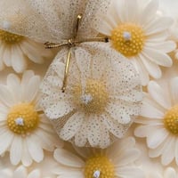 زهرة البابونج