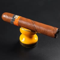 ستاند سيجار