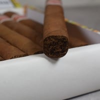 سجار روميو واي جولييتا ميل فلورز