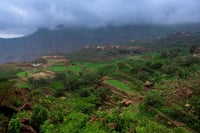 بيت السلامي - مزاد كأس النخبة اليمني 100g