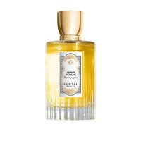 عطر أمبر فيتش جوتال أو دي بارفان-100 مل