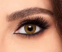 عدسات فريش لوك بيور هازل - Freshlook Pure Hazel
