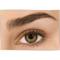 عدسات فريش لوك هازل - Freshlook Hazel