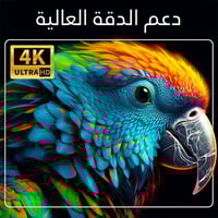 جهاز تحويل الشاشة لذكية بنظام أندرويد مديل F2 TV S...