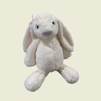 الارنب الكبير الابيض (بالاسم)