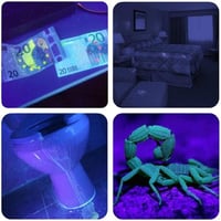 كشاف كاشف العقارب