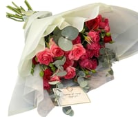 بوكية البيلسان