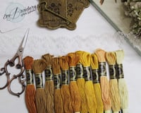 خيوط تطريز درجات دوار الشمس