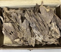 عود بابوا حي دبل نقوة