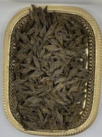 كمبودي تايقر محسن