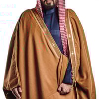 بشت شبكة مفنن نبيه لوكس زري حر