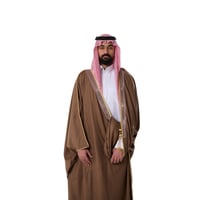 بشت شبكة مكسر زري حر كشميري لون بني