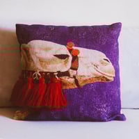 غطاء وسادة جمل