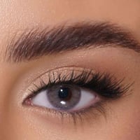 ستورم STORM يومية