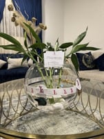 فازة ساق البامبو مع السمكه