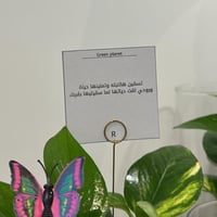 كرت عباره حسب طلبك