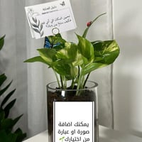 بوتس بأضافة صوره حسب طلبك(جاهزه للاهداء)