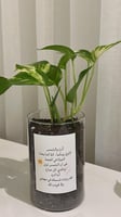 صوره مربعه
