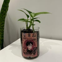 بوتس هاري بوتر