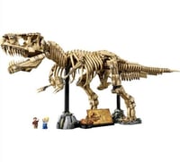 Dinosaur Fossils: Tyrannosaurus rex
