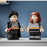 Harry Potter & Hermione Granger